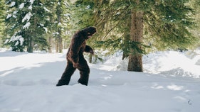 Hard Mountain Dew offers $1M bounty to anyone who can prove Bigfoot is real - Fox Business News