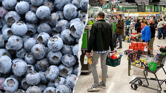 Grocery store sued after allegedly tainted berries led to woman's death - Fox News