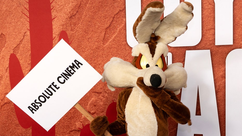 Person in Wile E. Coyote costume