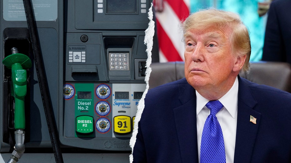 Fuel pump and President Donald Trump