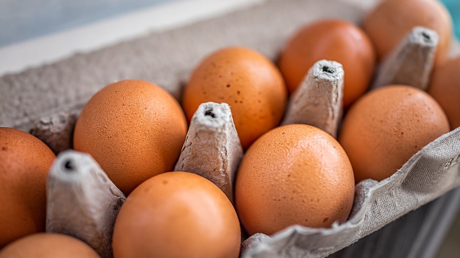 Eggs in a carton
