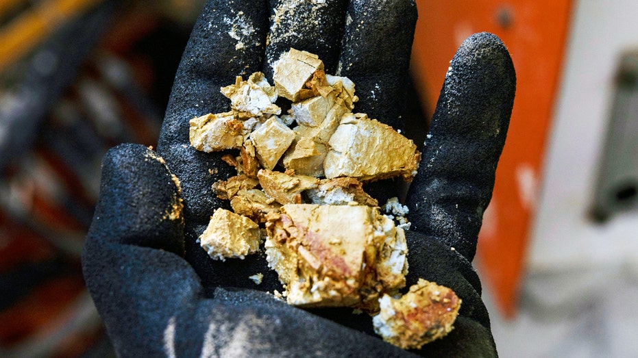 A worker holds a soil sample at a Meteoric Resources rare earth exploration project