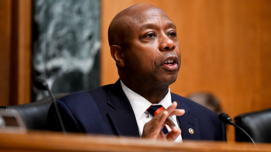 South Carolina Republican Senator Tim Scott.