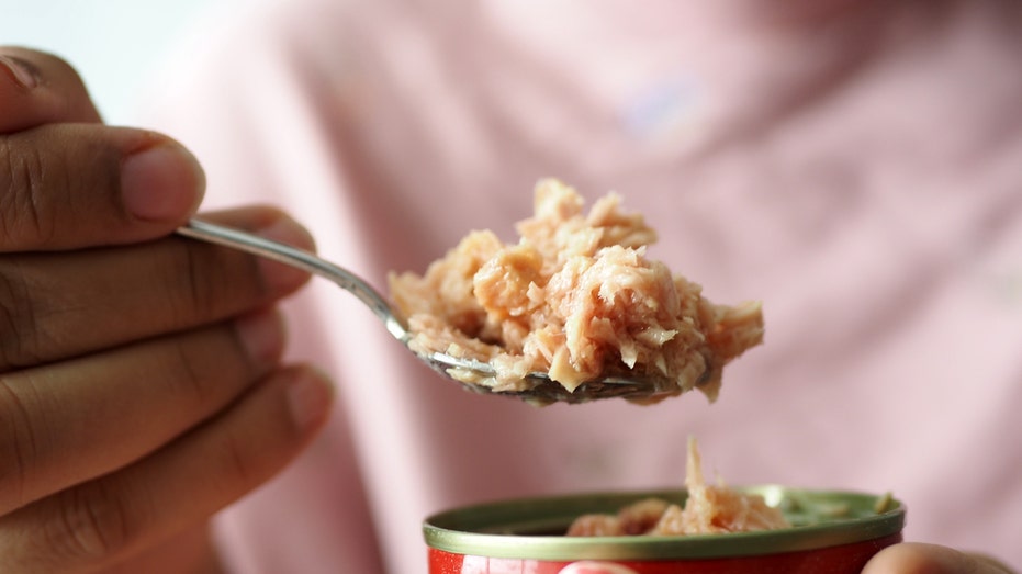spoon pick canned tuna closeup