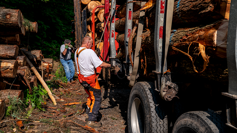 U.S. loggers working in Vermont.