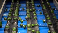 California Republicans urge Trump to curb Mexican avocado import surges - Fox Business News