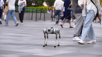 Startup offered workers $20 an hour to walk robot dogs in San Francisco - Fox News