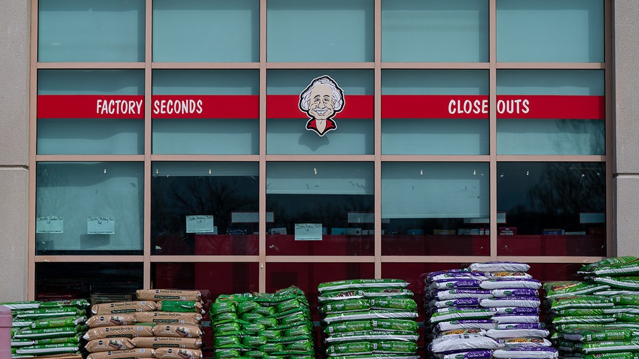 Ollie's Bargain Outlet