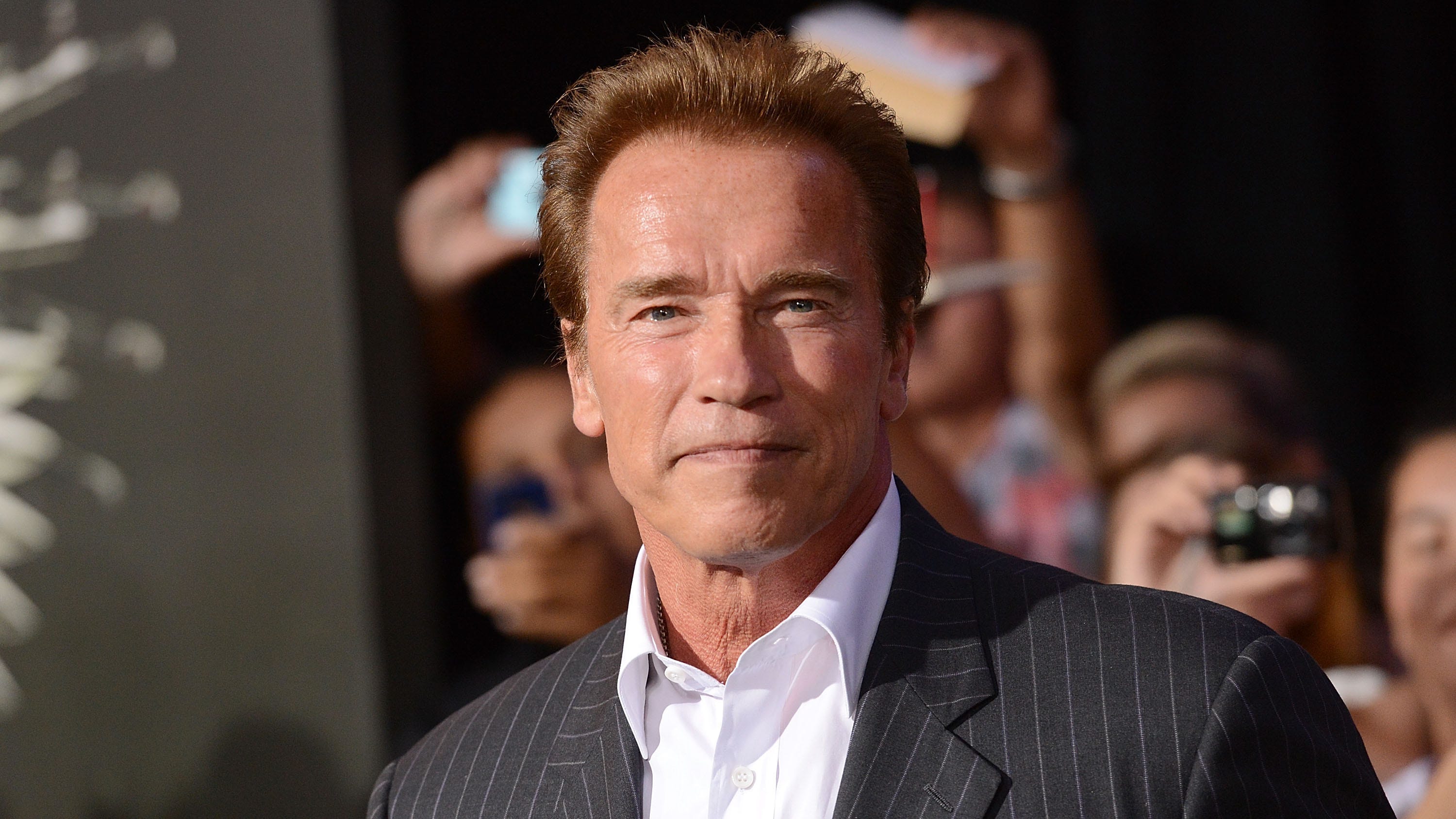 arnold schwarzenegger turned down