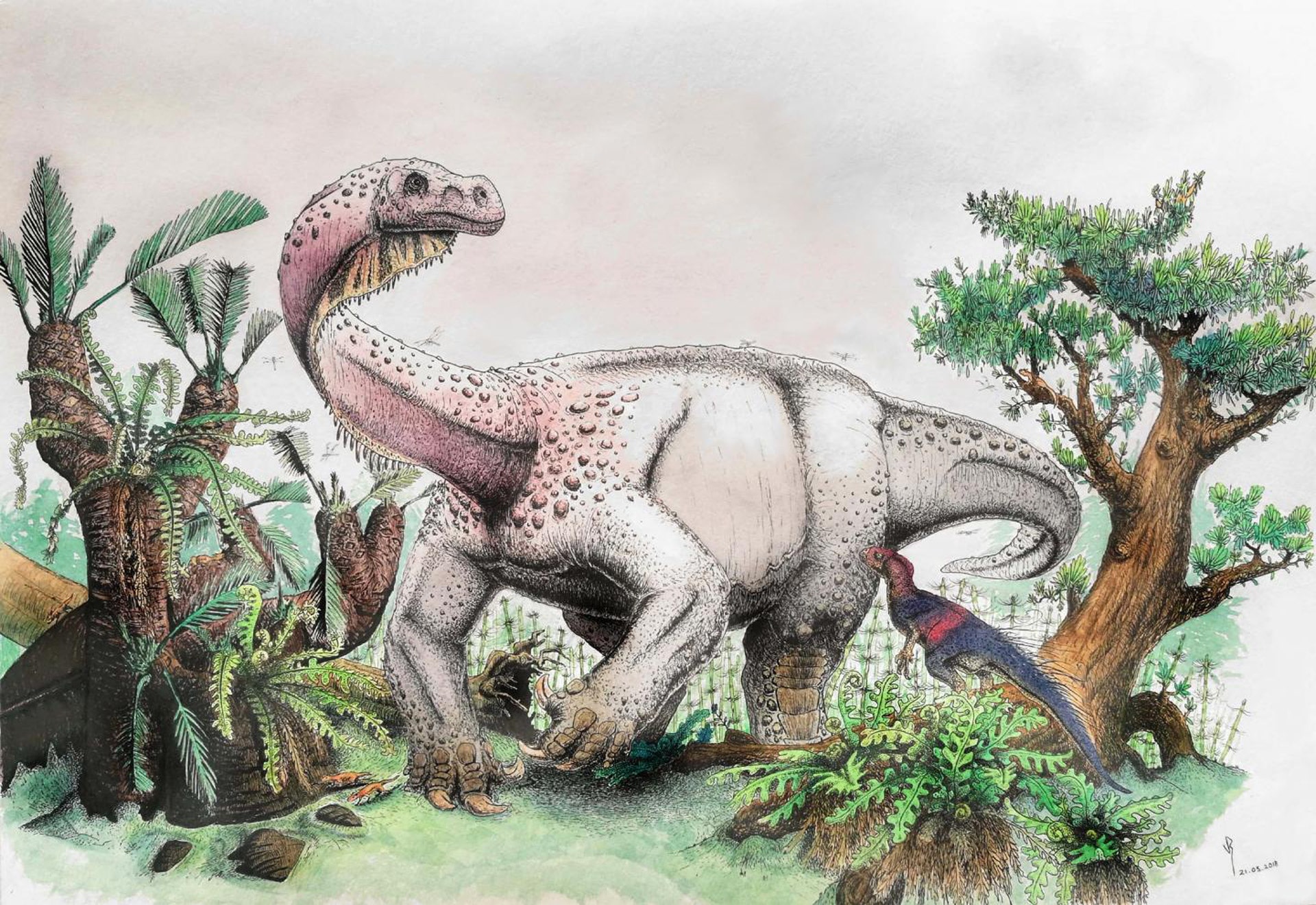amazing giant dinosaur discovery