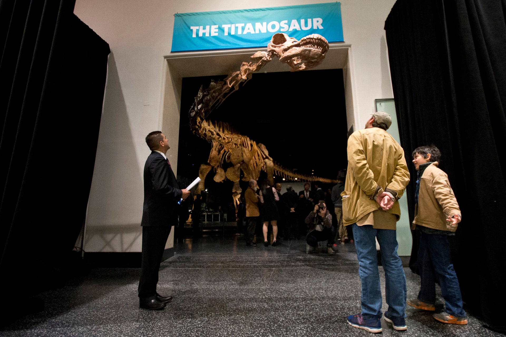 Experts Proclaim Newly Named Patagotitan Dinosaur Species The Largest Ever Discovered