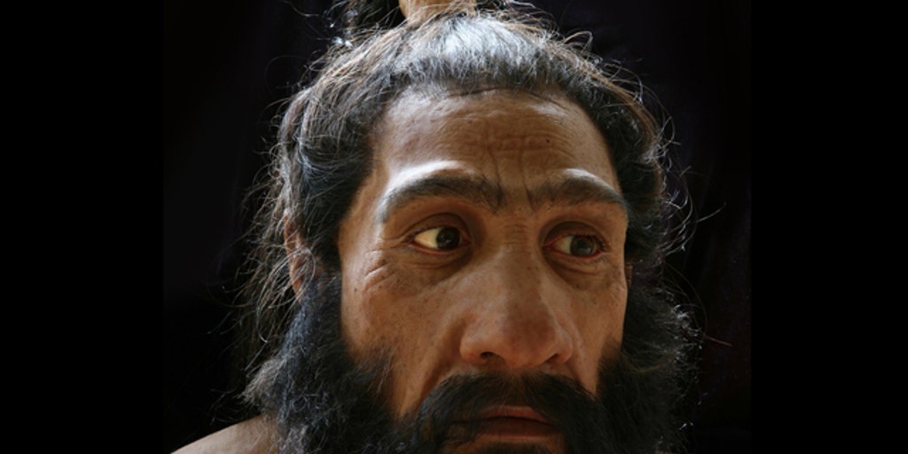 Women sought for Neandertal surrogacy? Not Yeti, thankfully