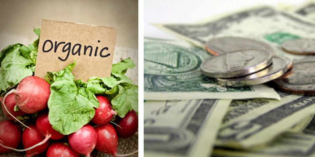 10 Reasons Organic Food Is So Expensive Fox News - 