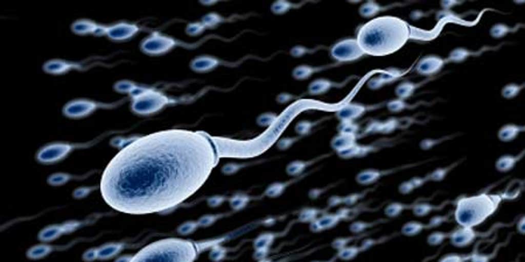Preventing Male Infertility 12 Natural Ways To Make Healthy Sperm