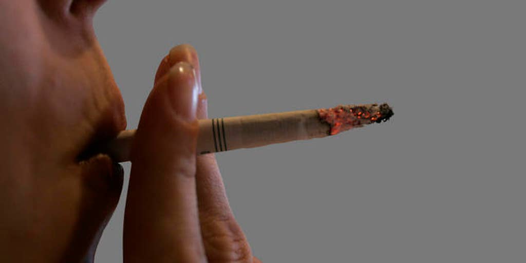Has New York Gone Too Far by Banning Smoking in Parks?