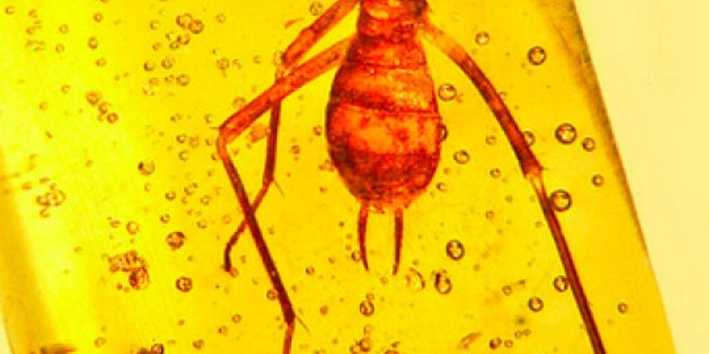 洋楽 bugs in amber rocketship letters 170125145747_1_900x600.jpg?ve=