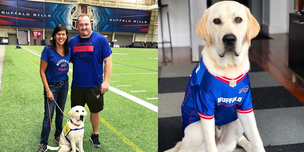 buffalo bills pet jersey