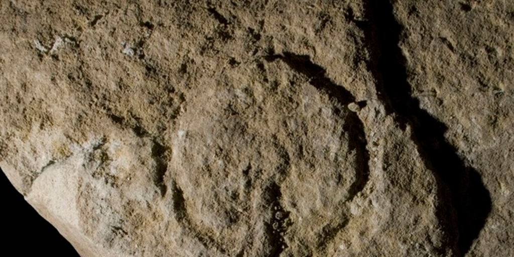 Bloc-K-vulve-120514.jpg?ve=1&tl=1