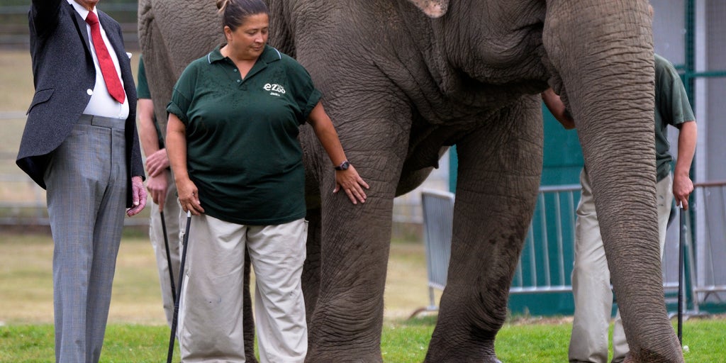 Bob Barker pays nearly $1 million to rescue 3 elephants | Fox News