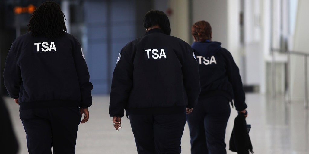 TSA confirms it allows illegal immigrants to use arrest warrants as ID in airports - Vimarsana News