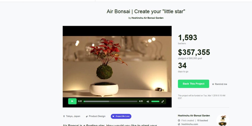 Air Bonsai: Create your own floating tree | Fox News
