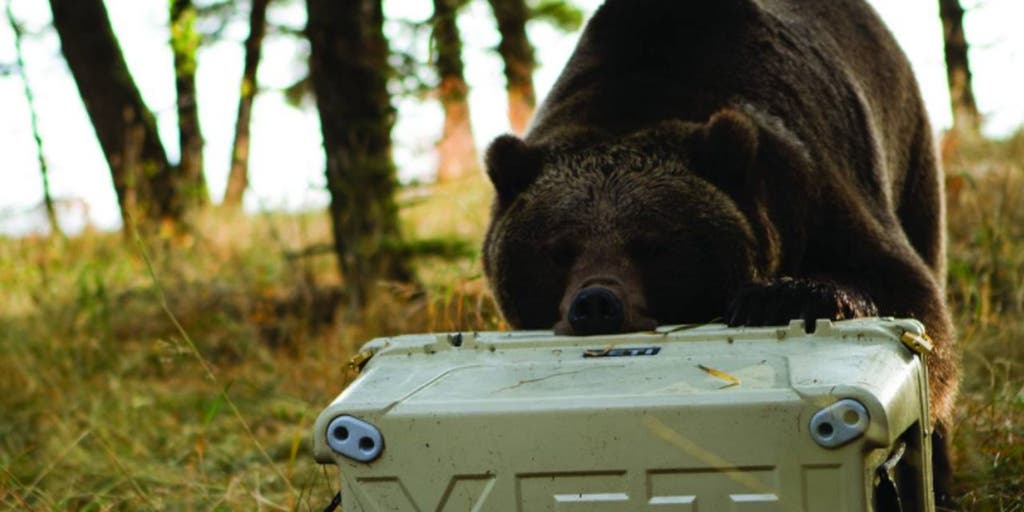 Yeti coolers cheap 2nd amendment