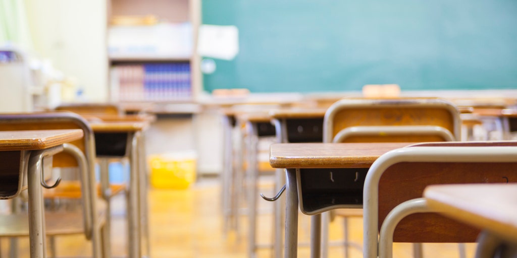 New York parent says teacher's optional assignment focused on 'White fragility' told students they're 'racist' - Vimarsana News