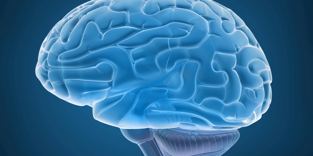 Memory research. Memory research. Memory research. Методы исследования нарушения памяти. Функции памяти.