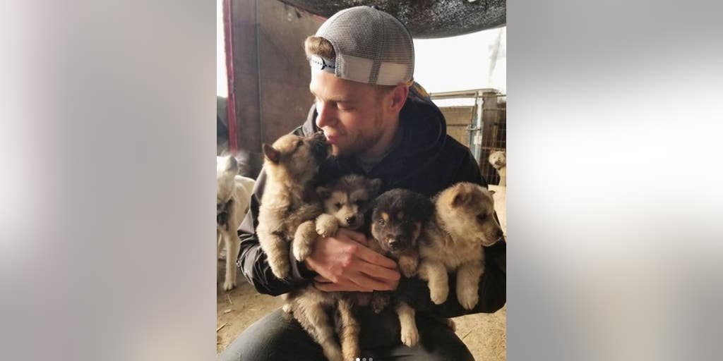 U.S. freestyle skier Gus Kenworthy adopting stray Sochi puppies