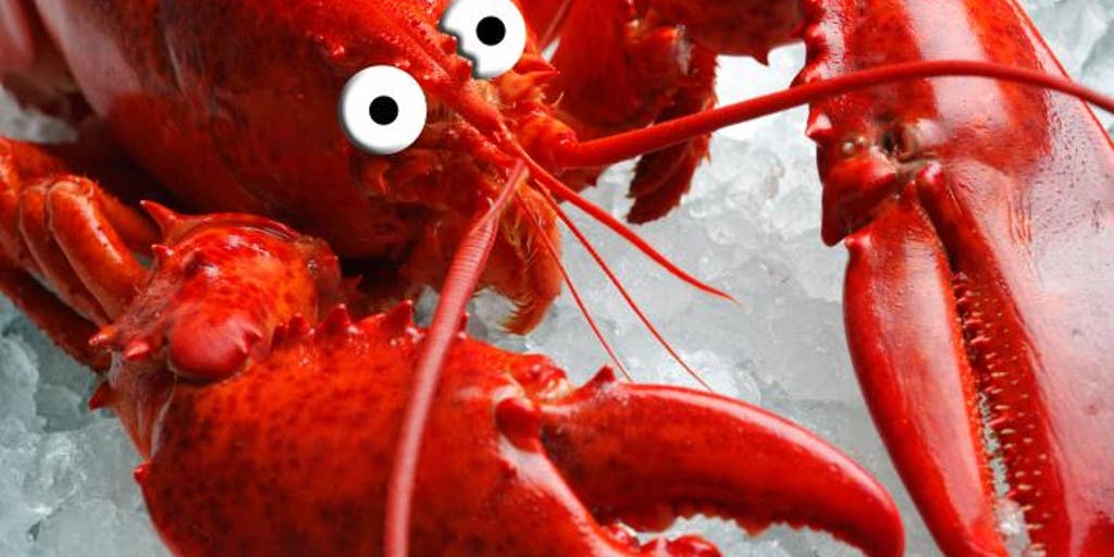 The Truth About Shrimp Salmon Lobster Crab And More Fox News