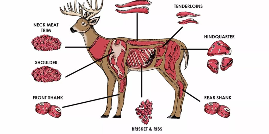 What does venison mean hotsell