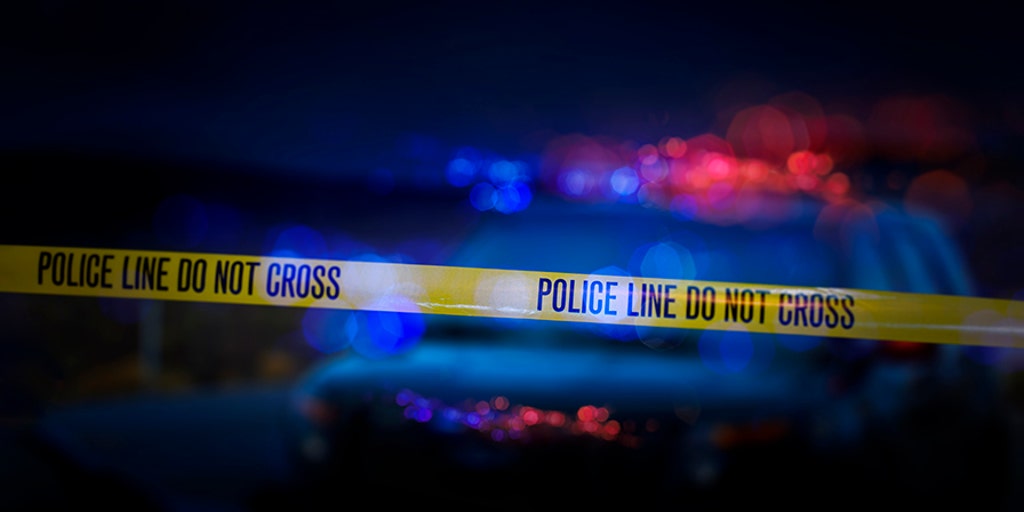 Driver of a tractor-trailer in North Carolina dead after crash on a highway - Vimarsana News