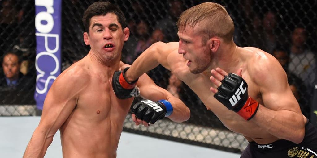 TJ Dillashaw believes Dominick Cruz would rather retire than fight