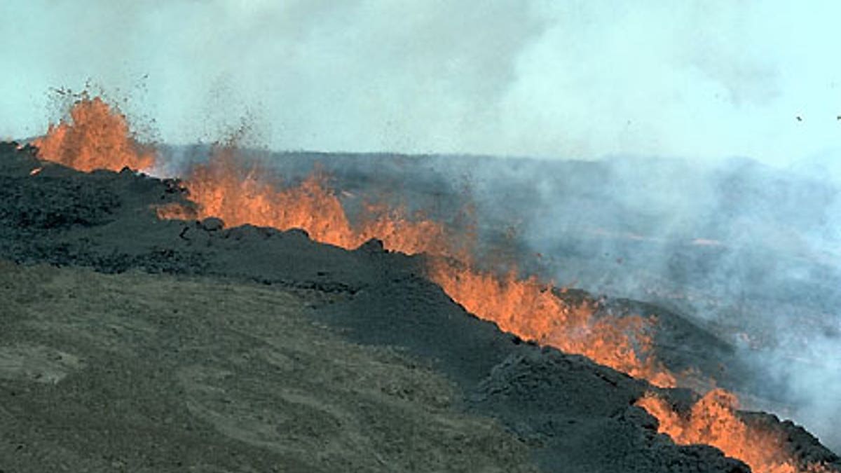 Mauna Loa is the largest volcano on the planet.