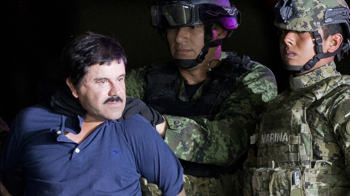 Joaquin "El Chapo" Guzmán was transferred to the United States in January 2017 and pleaded not guilty to charges that he oversaw the Sinaloa drug cartel.