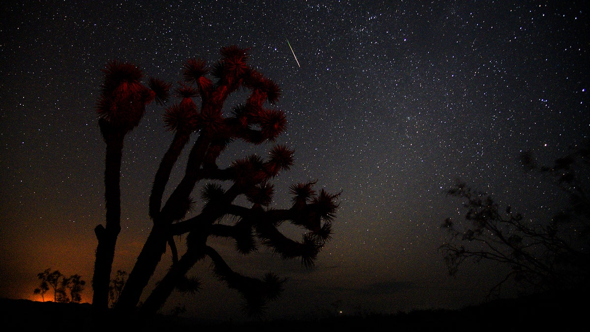 TRONA, CA - AUGUST 13: A meteorite streaks over a Yucca Tree on August 13, 2018 near Death Valley during annual Perseid Meteor Shower in Trona, California. (Photo by Bob Riha Jr./Getty Images)