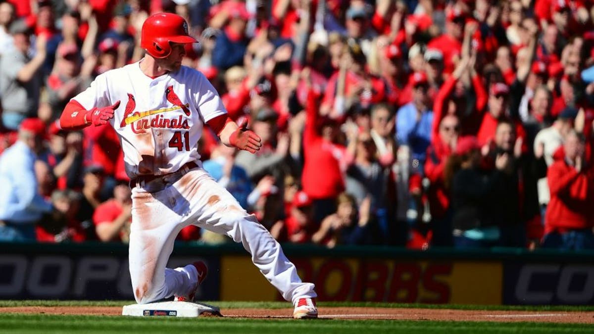 St. Louis Cardinals Spring Training Jersey - Jeremy Hazelbaker