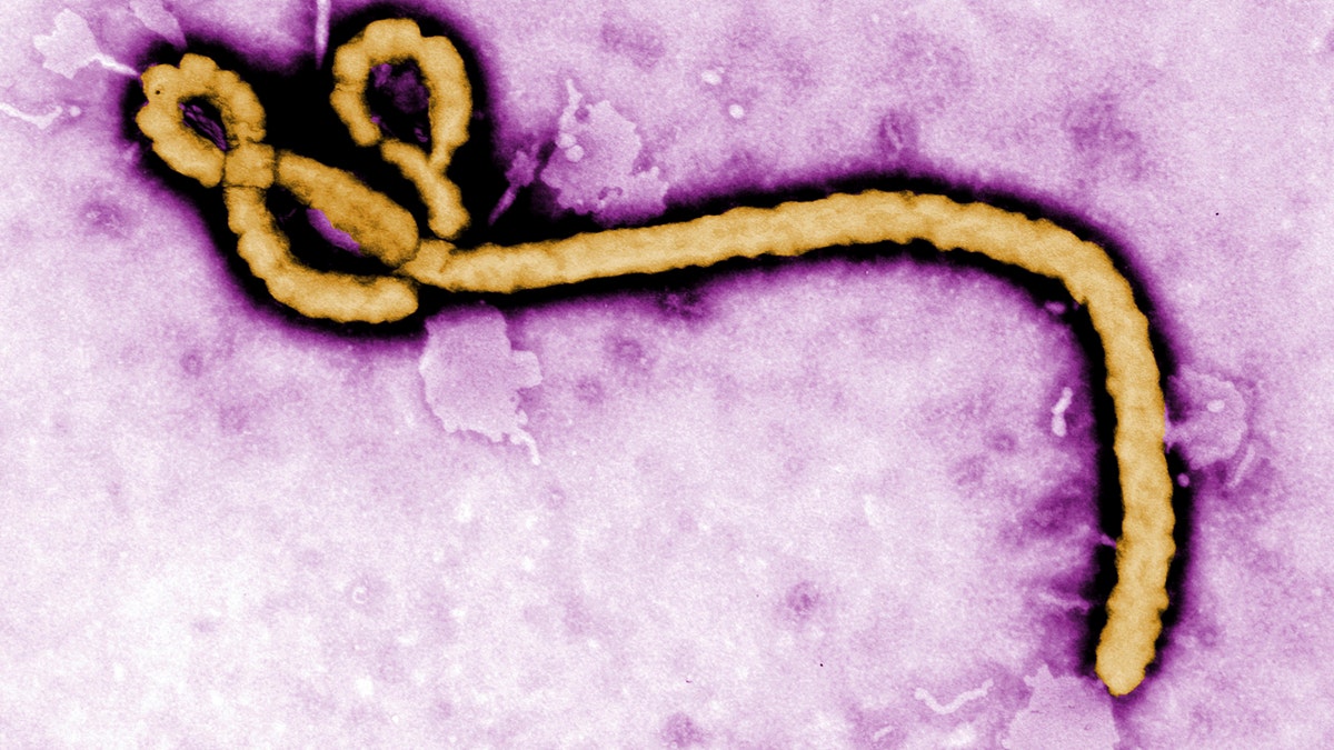 0515 ebola