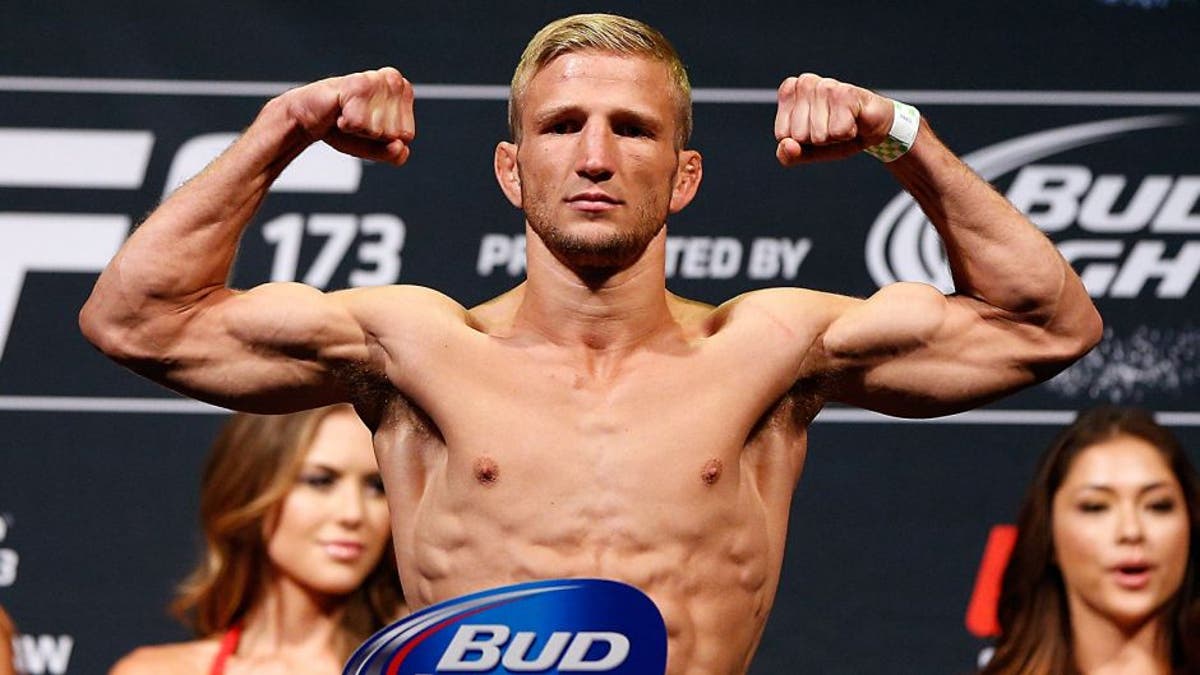 TJ Dillashaw sedang berupaya menyempurnakan proses pemotongan berat badannya