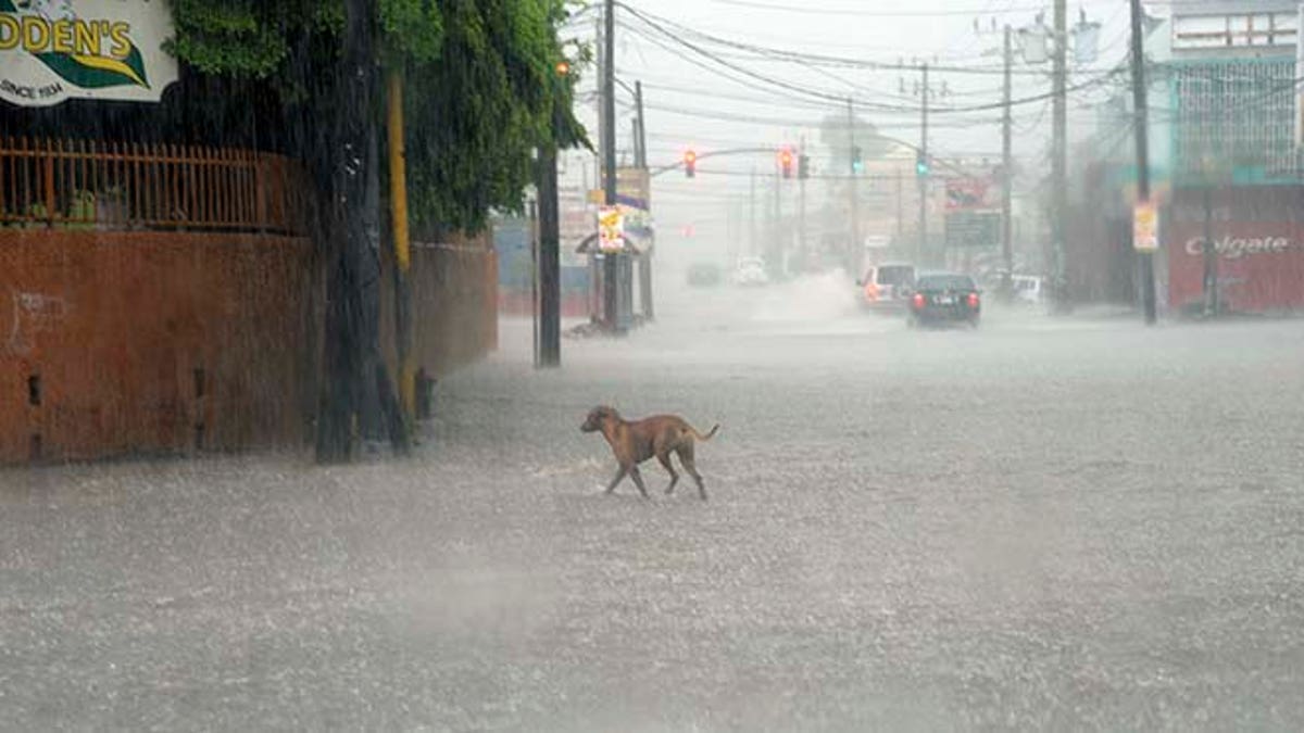 Jamaica Tropical Weather