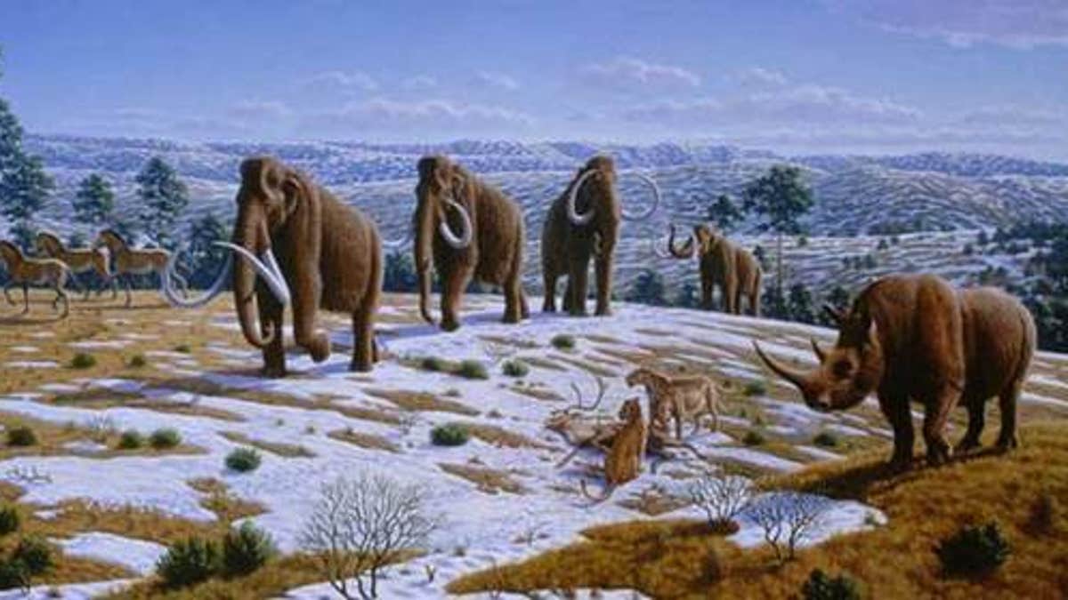 Mammoths wiped out by multiple killers | Fox News