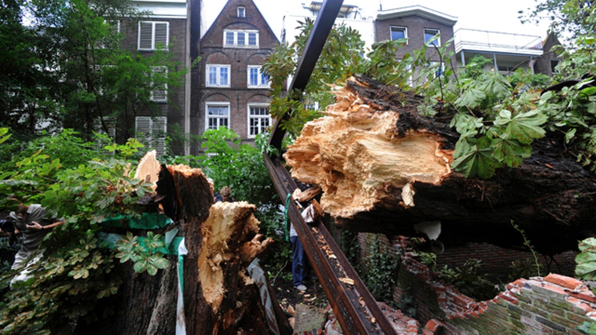 Netherlands Anne Frank Tree