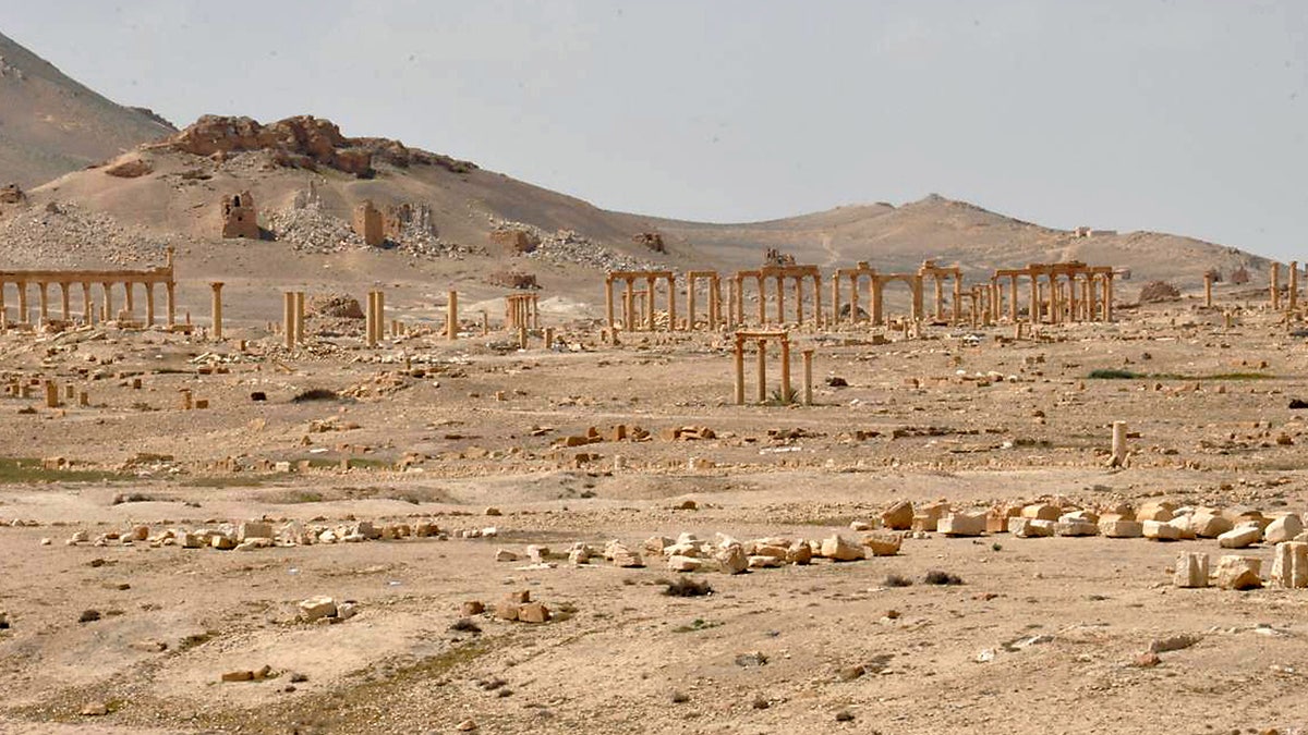 palmyra08