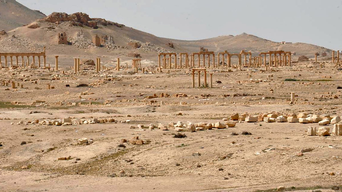 palmyra08