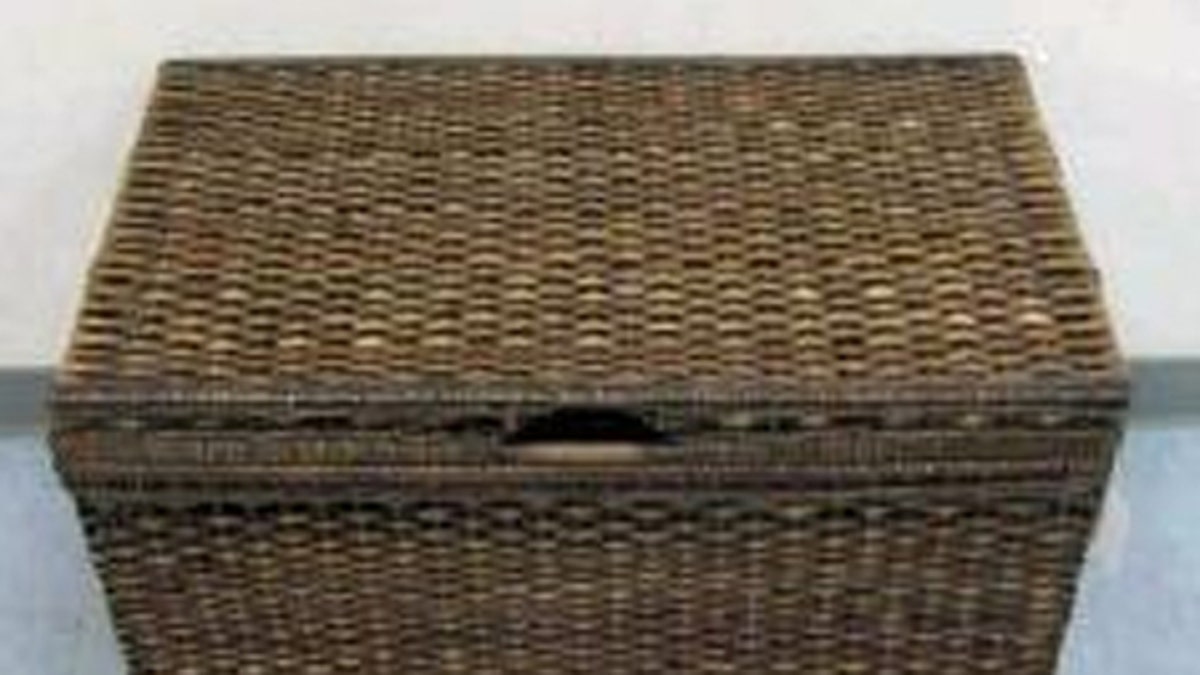 Target wicker storage store trunk