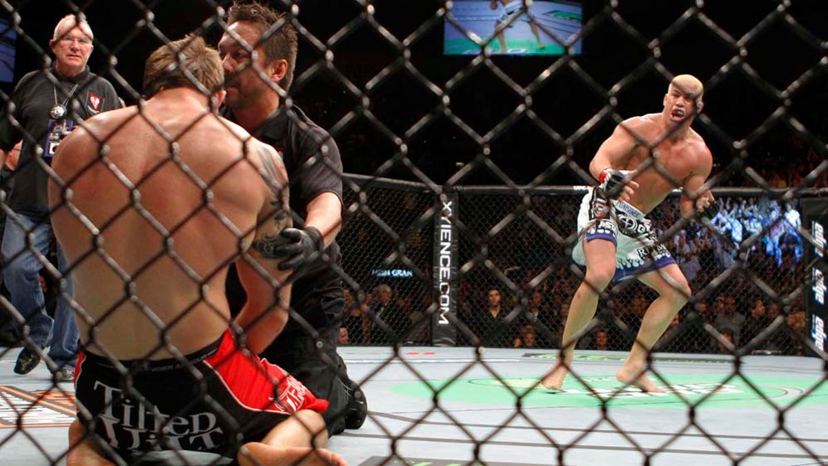 0ce654ee-UFC 132 MMA