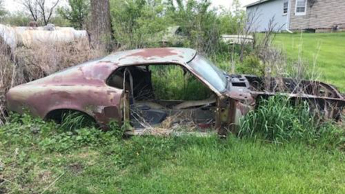 Rotting Ford Mustang on Ebay turns out to be a rare classic | Fox News