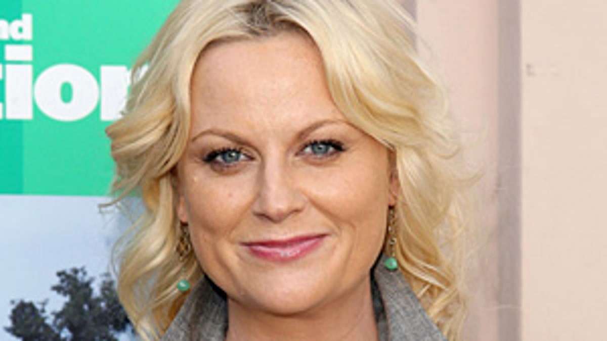 Actress Amy Poehler arrives at the 