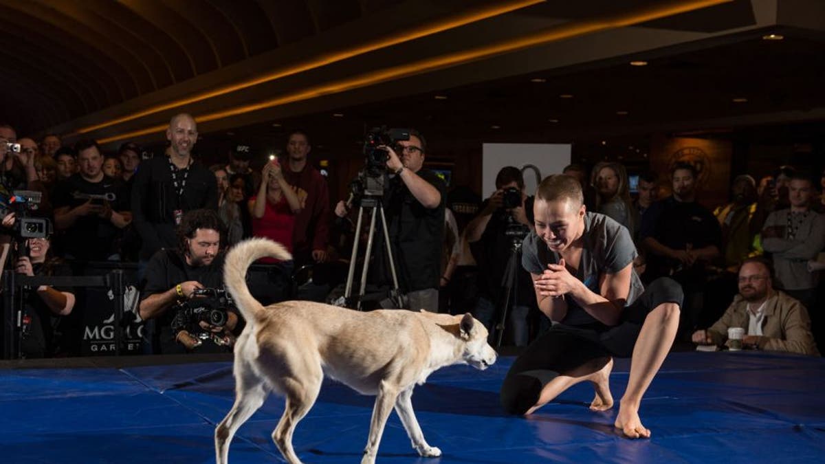 Rose Namajunas merasa nyaman berada di dalam kandang seperti halnya dengan penampilan barunya