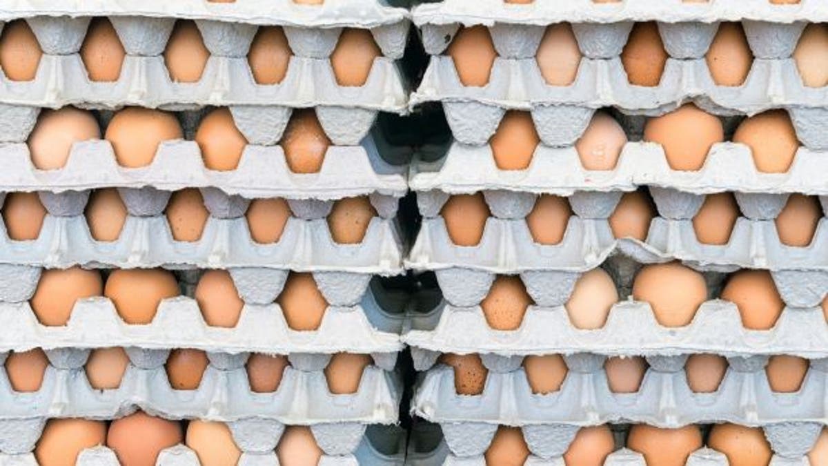 7616628e-eggs
